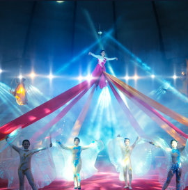 padma event Image 1